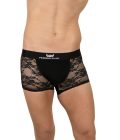 Fergio Lace Boxer - Görsel 4